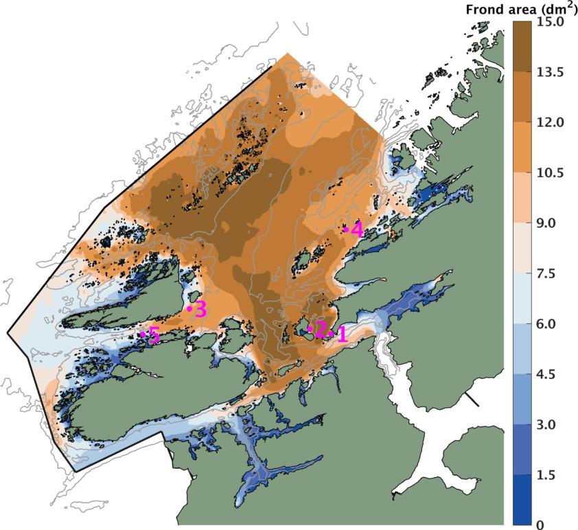 Modellsimuleringer og dyrkingsforsøk Broch OJ, Alver MO, Bekkby T, Gundersen H, Forbord S, Handå A, Skjermo J, Hancke K. 2019. The Kelp cultivation potential in coastal and offshore regions of Norway.