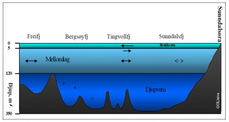 3.1.2.2 Fjordsystemet Sunndalsfjorden er ca. 2-3 km bred og i store deler over 300 m dyp. Innløpet til fjorden i Bergsøysundet er ca. 120 m dypt. Det er tidligere anslått av det kommer inn ca.