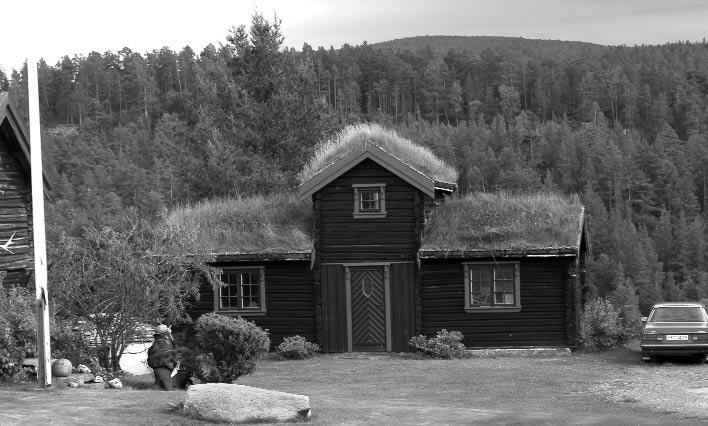 Trøndelag Folkemuseum i Trondheim. Alder Vi har ikke så mange gode dateringer, men hustypen oppstår fra 1870 og framover, ikke minst etter århundreskiftet kommer det mange eksemplarer.