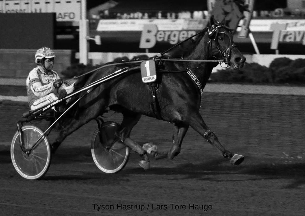 Tyson Hastrup ble kåret til månedens hest i februar 2019 på Bergen Travpark. Han startet i to løp på Parken og vant begge.