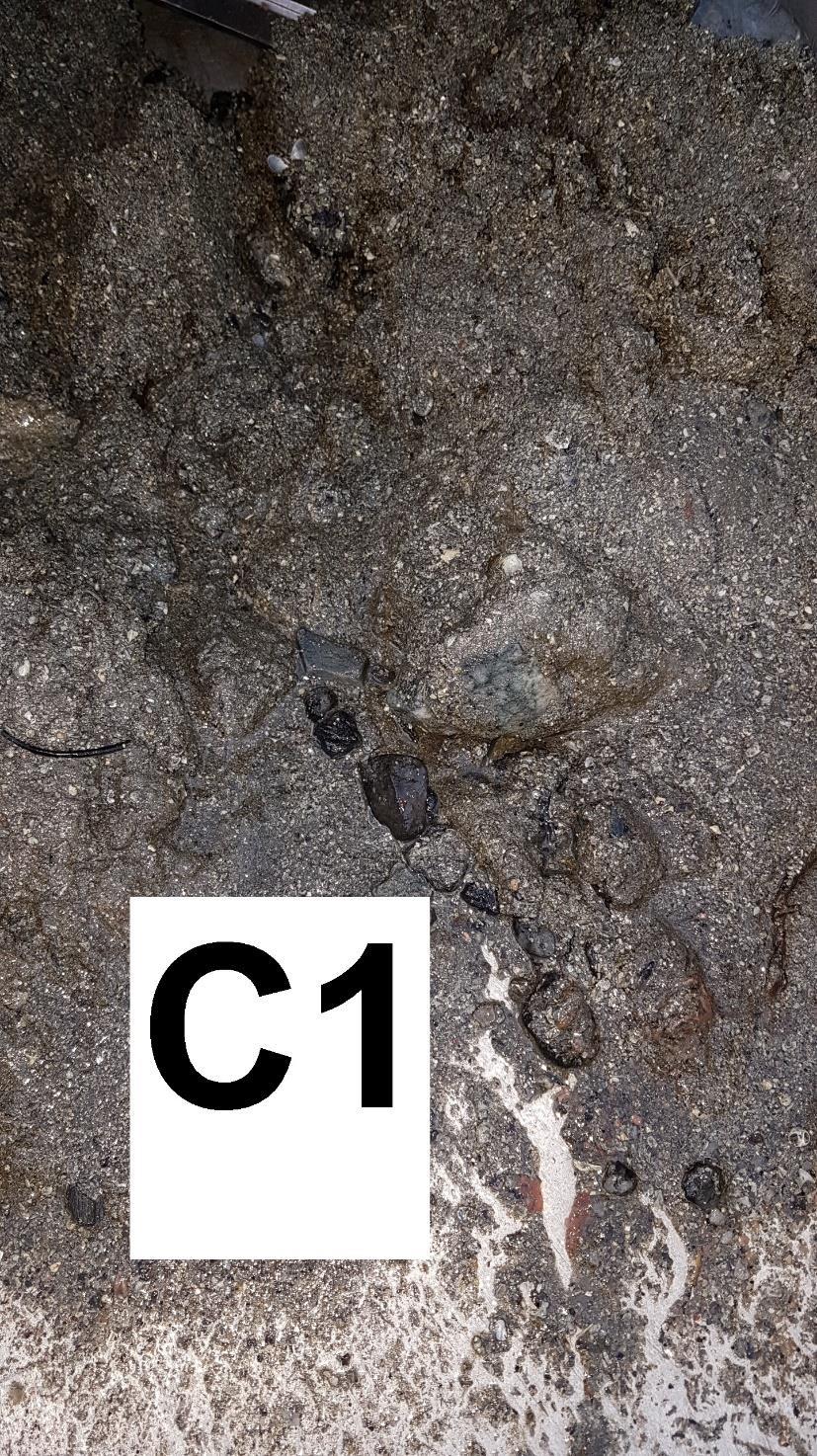 2.4 Bilder av sediment Figur 6: Bilde av sedimentet ved C1.