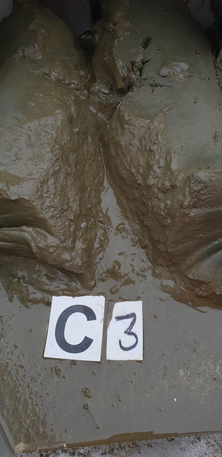 Figur 8: Bilde av sedimentet ved C3.