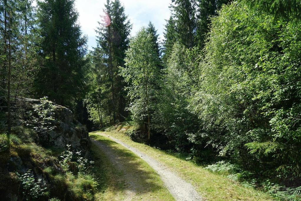 Dagens plansituasjon åpner i prinsippet bare for landbruksdrift og stedbunden næring.