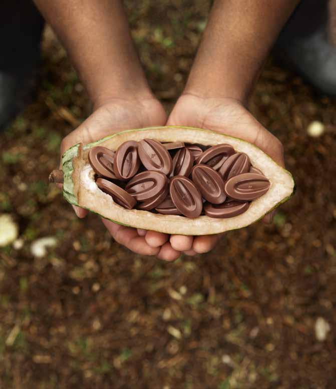 SJOKOLADE VALRHONA SJOKOLADE produseres i Rhône-dalen i Tain l Hermitage, Frankrike. I produksjon brukes råvarer av aller høyeste kvalitet og noen av verdens fineste kakaobønner.