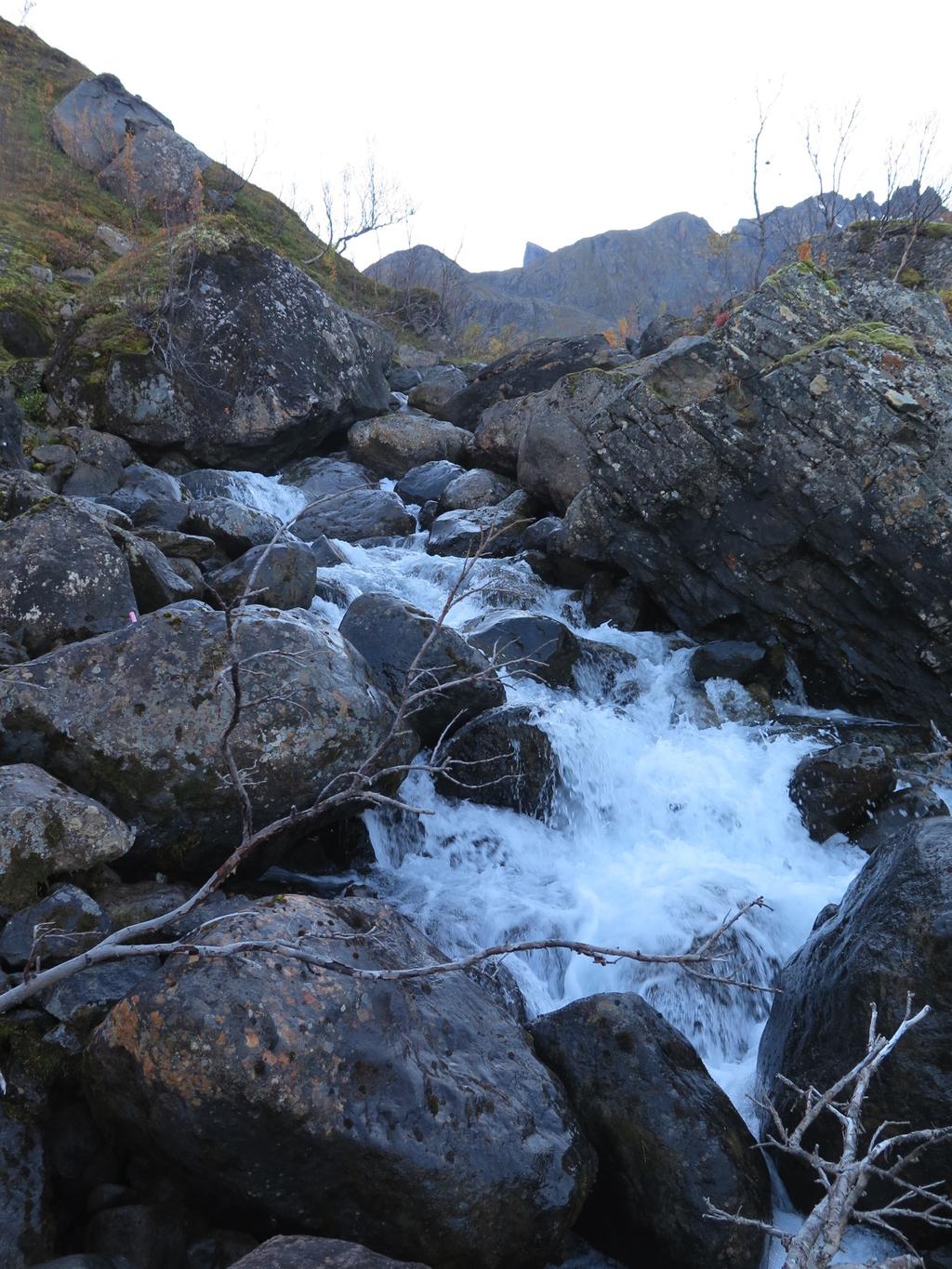 Utnyttelse av vannressurser i Nuvsvåg, Loppa kommune biologiske utredninger 6.