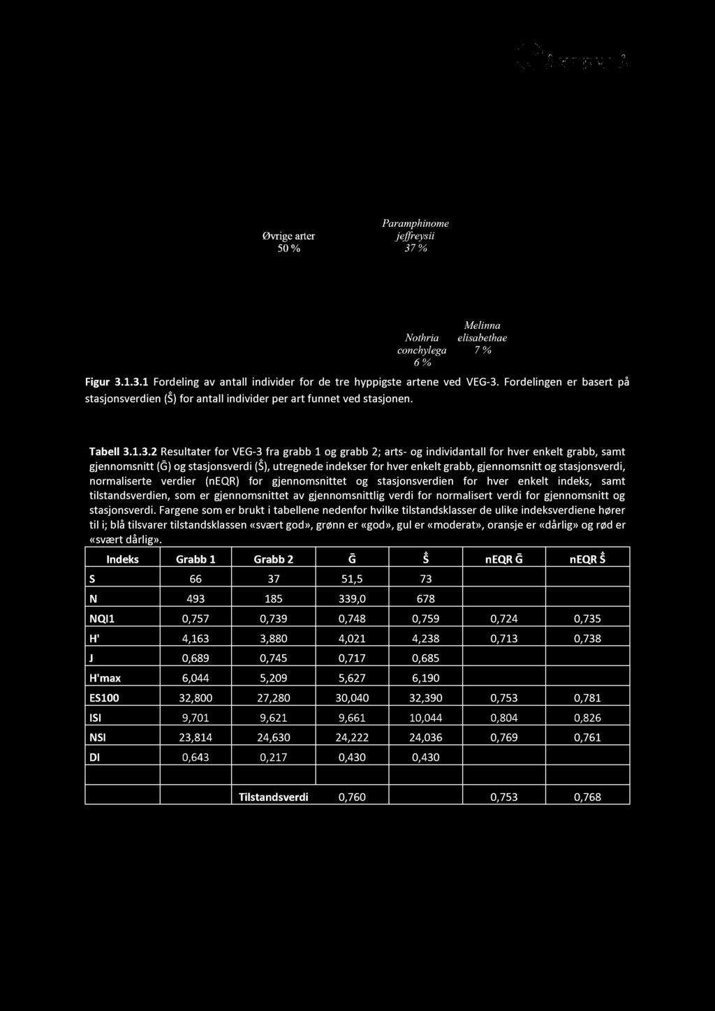 1.3. 2 Resultater for VEG - 3 fra grabb 1 og grabb 2; arts - og individantall for hver enkelt grabb, samt gjennomsnitt ( ) og stasjonsverdi ( ), utregnede indekser for hver enkelt grabb, gjennomsnitt