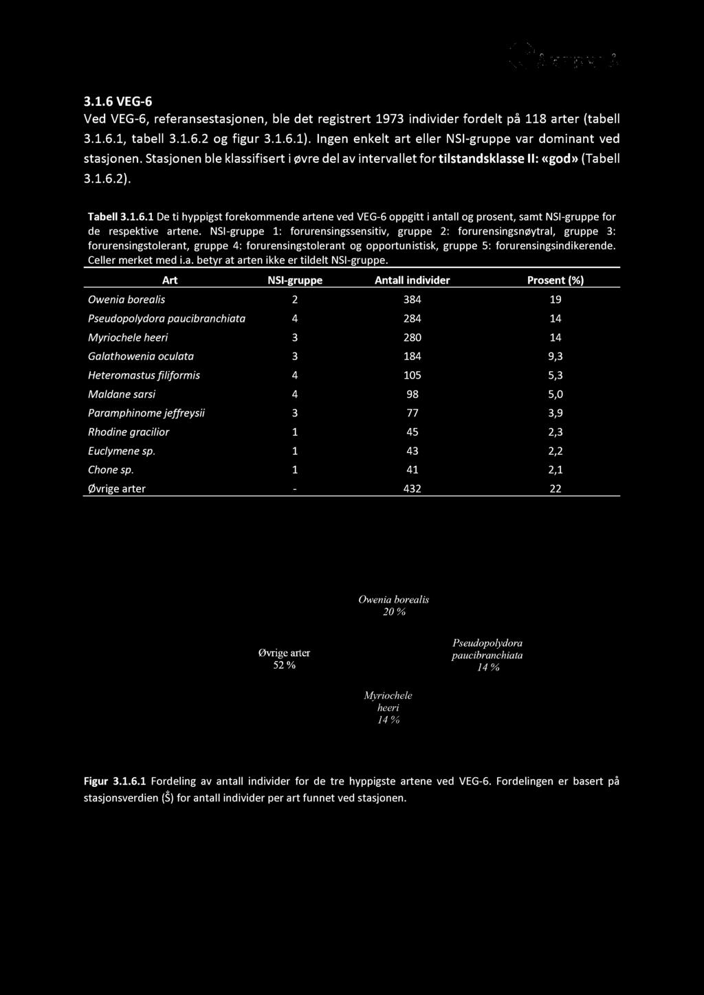 3.1.6 VEG - 6 Ved VEG - 6, referansestasjonen, ble det registrert 1973 individ er fordelt på 118 arter (tabell 3.1.6.1, tabell 3.1.6.2 og figur 3.1.6.1).