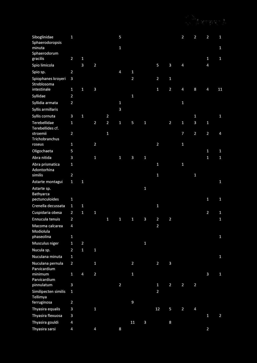 Siboglinidae 1 5 2 2 2 1 Sphaerodoropsis minuta 1 1 Sphaerodorum gracilis 2 1 1 1 Spio limicola 3 2 5 3 4 4 Spio sp.
