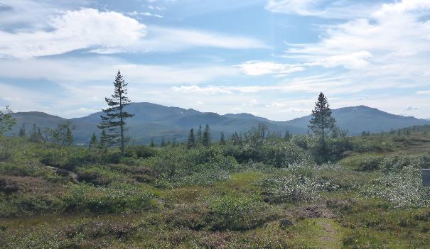 Utsikt sørover mot Fongen og Ruten fra turiststien mellom