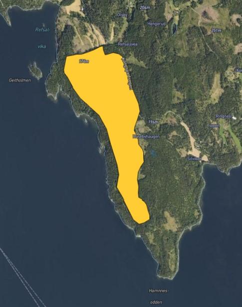 Område 4: Husebymarka Forslagsstiller: VA Prosjektering AS på vegne av Jens Ringnes. Eiendom: Del av gnr. 77, bnr.