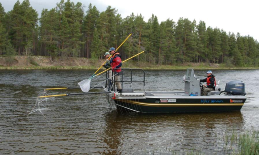 2.2 Ungfiskundersøkelser 2.2.1 Elektrisk båtfiske i Røssåga Elektrisk båtfiske ble gjennomført i hovedstrengen av Røssåga i starten av september 2018.