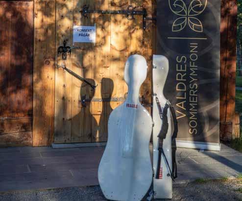 Vennskap av tradisjon og nyskapning Ballettforestilling Lørdag 22. juni kl. 16.00 Kulturhuset, Fagernes Bli med på en stor ballettbegivenhet!