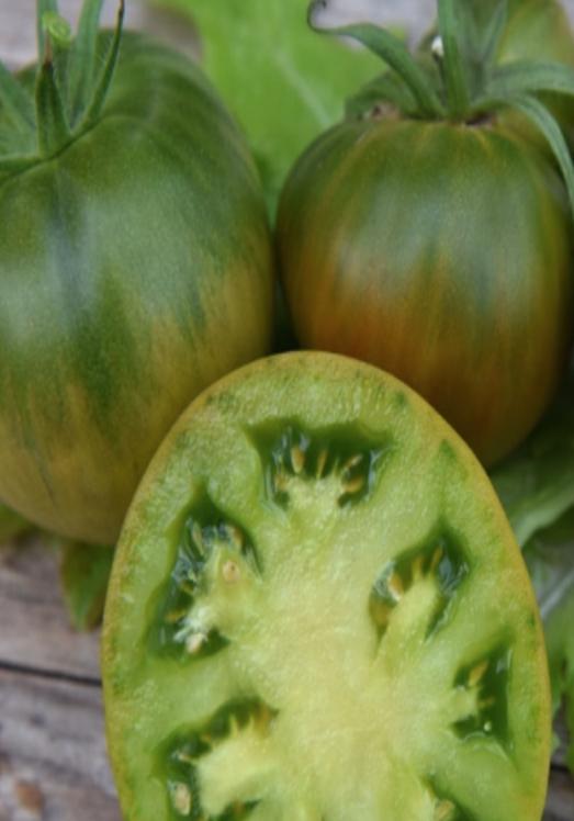 Skal tyves Tomat Bifftomat Solanum lycopersicum Søtvierfamilien.