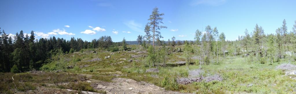 Nord for Drammensveien Områdene er i dag kupert med fallende høyder fra nord til sør. Ei stor myr er lokalisert nordøst for dagens avkjørsel.