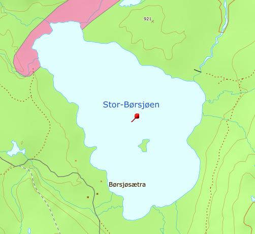 14 4 Naturgrunnlaget Geologi Stor-Børsjøen er beliggende sør i Trondheimsfeltet. Berggrunnen er dominert av kambriosilurske bergarter.
