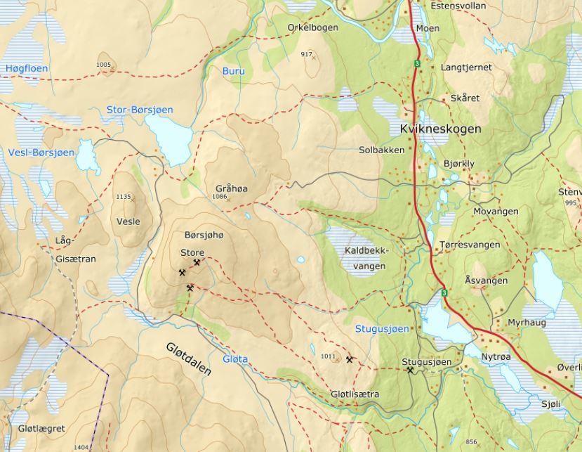 9 2 Områdebeskrivelse Stor-Børsjøen ligger i Tynset kommune vest for Kvikneskogen (fig. 1).