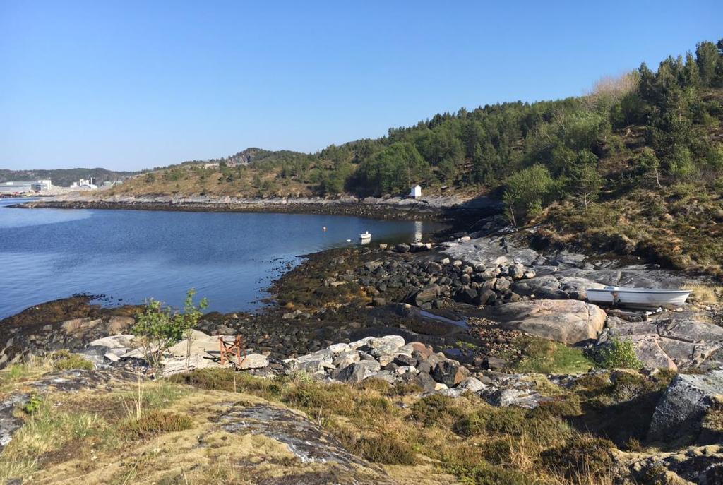 Resultat fra befaring 2018 Befaring fra sjø Hele strandsonen omkring Bolgsvaet fra Valholmen via Bolgneset, Bolgvågen, Rensvik, Vestbase og Innlandet ble befart med båt i januar 2018 dagen etter at