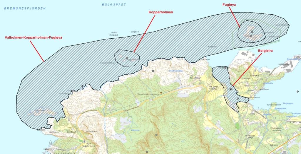 Mye sjøfugl samles da i området. Flere hundre ærfugl er registrert. Disse har overnattingsplass på Kopparholman. Havelle, svartand og sjøorre overvintrer også sammen med storskarv og toppskarv.