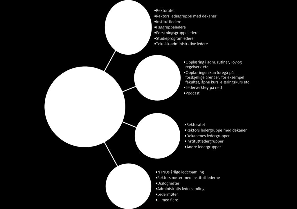 3 Noe av dette, blant annet innenfor lov- og regelverk, HMS etc. vil være obligatorisk. NTL viste til at ansatte på NTNU møter i dag ulik type ledelse.