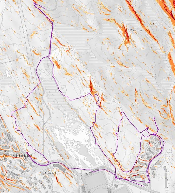 3.4 FELTKARTLEGGING For å utrede skredfaren har Rambøll vært på befaring. Kartleggingen ble utført 23.10.2018 av Torgeir Fiskum Hansvik.