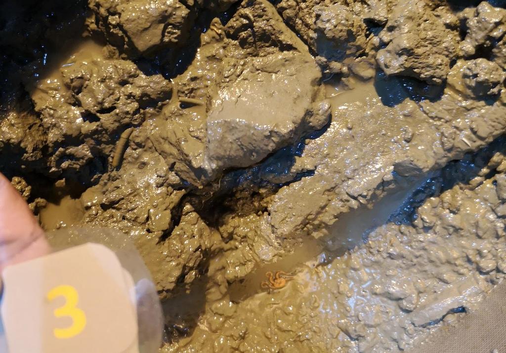 Figur A-3: Bilde av sedimentet ved C3.