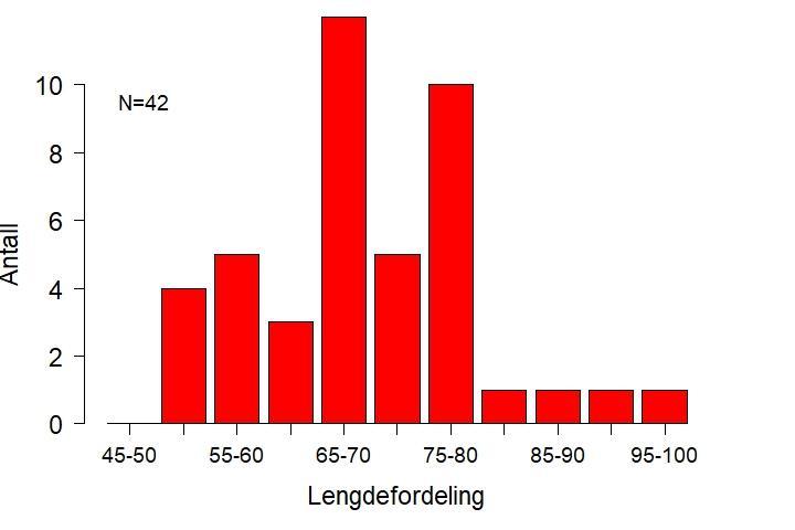 Figur 8. Antall rømte oppdrettslaks med ulike lengder (i cm) fanget under sportsfiskesesongen i Salvassdraget i 2018. 4.8.3 Andel rømt oppdrettslaks i høstfisket i Salvassdraget Det ble gjennomført et garnfiske i Sakstjønna i Salvassdraget 16.