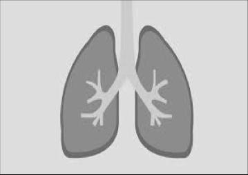 Chronic Obstructive Pulmonary Disease New Drugs and Dosage Forms Duaklir: