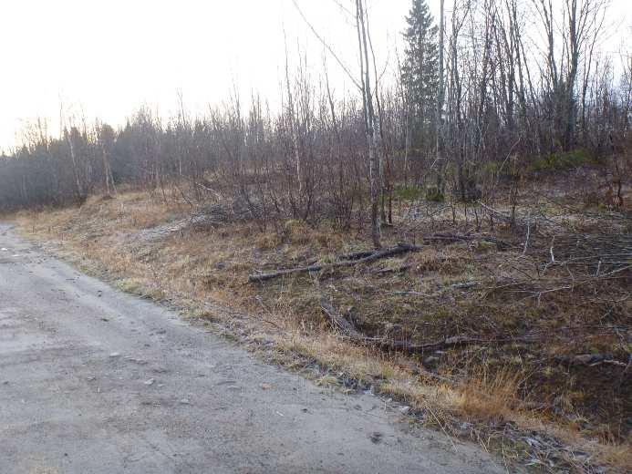 Terrenget skrår mot elva og det legges vekt på at bygget skal få en estetisk utforming og passe inn i området.