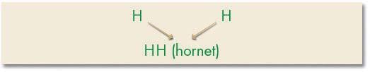 Hornet mor HH x Hornet far HH Resultat: Kan bare gi hornet kalv HH 2 Hornet mor HH X Kollet far HK (far har gen både for kollet og hornet) Resultat: Kan enten gi hornet kalv eller kollet