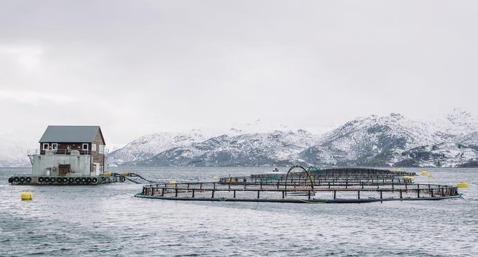 Norsk fiskeoppdrett er en næring med potensiale for stor vekst, forutsatt at miljøutfordringene håndteres Oppdrettsanleggene er lokalisert langs hele norskekysten Et oppdrettsanlegg består av en