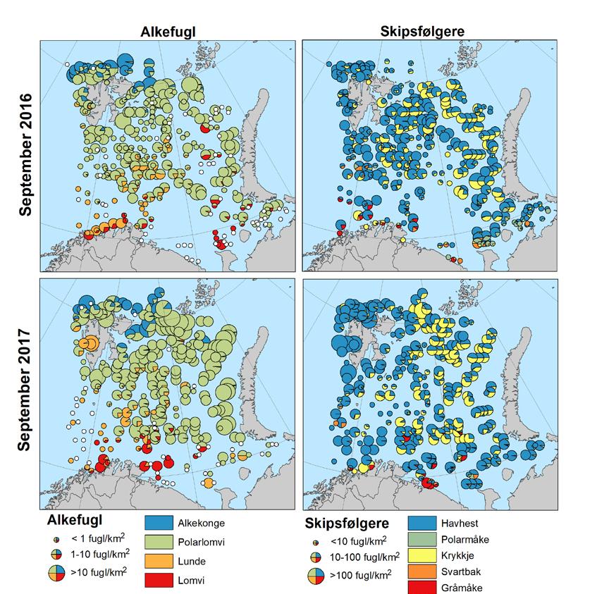Økosystemtoktene fra september viser høye tettheter av fugl i den nordlige delen av Barentshavet, det vil si i områdene nord for polarfronten (Figur 2.1).