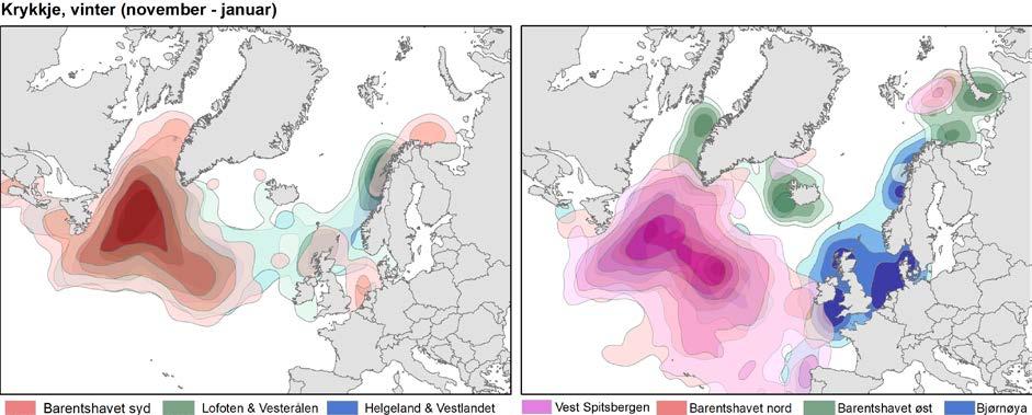 fulgt; Nind): Venstre panel: Barentshavet syd (Nind=82) (Hornøya, Cape Krutik), Lofoten & Vesterålen