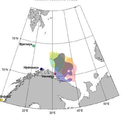 Fugler fra Bjørnøya, Hjelmsøya, Hornøya og Sklinna bruker overlappende områder i det sørlige Barentshavet.