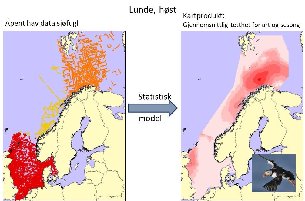 Disse seks begrensningene i datasettet har i stor grad lagt føringer på hvordan miljørisikoanalyser med hensyn til sjøfugl og petroleumsvirksomhet kan gjennomføres.