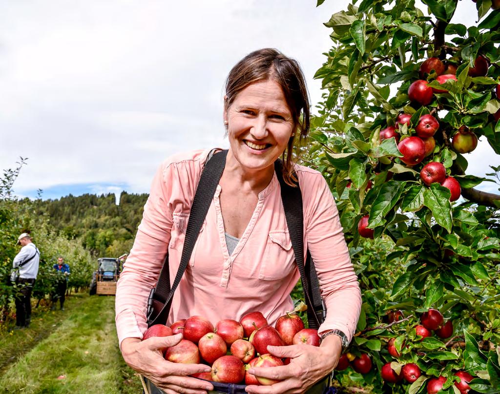 Portrettintervju Merete Hyggen Firma: Hyggen gård Hyggen eplemost Bosted: Hyggen i Røyken Bakgrunn: Siviløkonom og eplebonde 1. Hva er din forretningsidé Driver en fruktgård med epler.