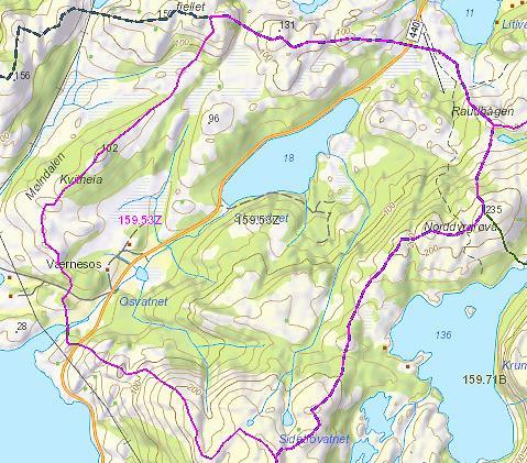 1. Innledning er en mindre vannforekomst i Rødøy kommune i vassdragsområde: «Vestre Svartisen og Rødøy kommune» med vannlokalitetskode ID: 159-53Z.