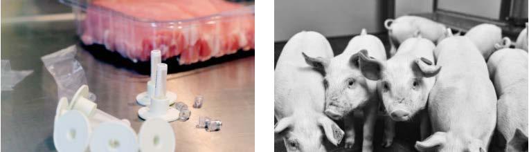 Norsvin SA Et samvirkeforetak (SA) eid av norske svineprodusenter Avlsselskap med utvikling, produksjon og salg av svinegenetikk som viktigste oppgaver Automatisere sporing,
