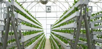 - UTVIKLING HYDROPONICS URBAN FARMING 6