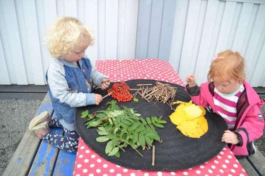 Barn har brukt trær som materiale i leken og i estetisk skapende aktiviteter.