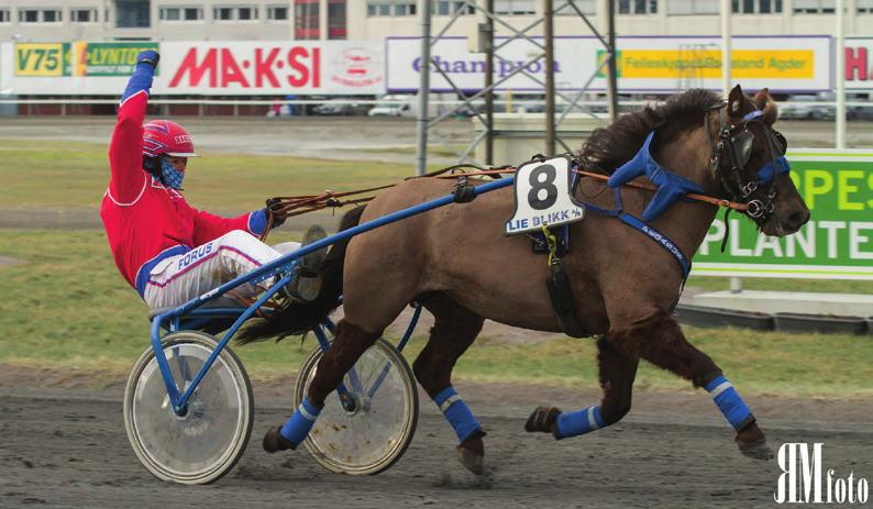 08 var siste året Pegasus kunne gå løp før han var over aldersgrensen.