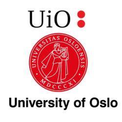 Psykologisk Institutt UiO, Statens