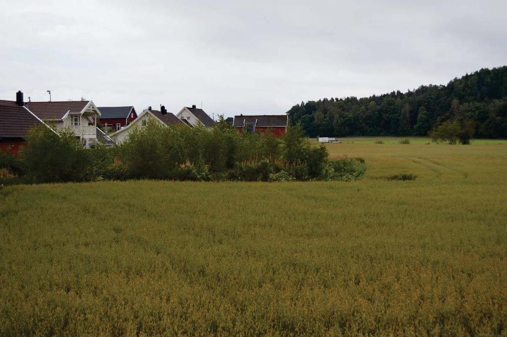 REGIONALAVDELINGEN EN FYLKESKONSERVATOREN