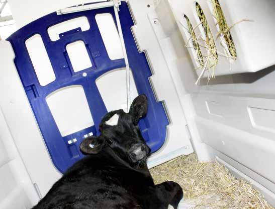 Kalveboks CB1 Færre infeksjoner i dag, mer melk i morgen 6:57 Du vet sikkert at det tar flere uker før kalven bygger opp immunforsvaret sitt.