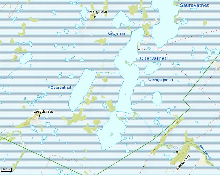 Figur 2: Oversiktkart Skogvoll naturreservat sørøst med soneinndeling. Kryss viser tellepunkter, stjerne viser fiskemåke-kolonier. Takseringslinjer vises med linjer med pil.