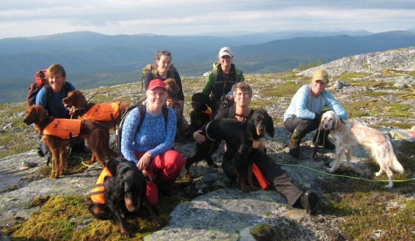 Og vi har deltatt med våre hunder under borgertoget den 17. mai i Namsos. De som laget den flotte fanen var Therese Pedersen, Anita Fossheim og Kristine Leirvik Pedersen.