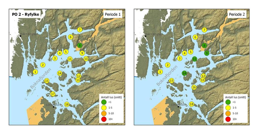 periode. En liten nedgang ble observert på enkelte bur andre periode (figur 12). Figur 12. Plassering og gjennomsnittlig påslag av lakselus fisk fra vaktbur i PO 2.