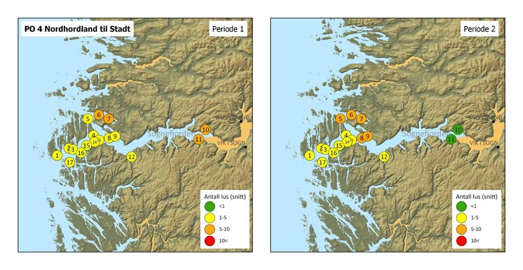 Figur 24. Plassering og gjennomsnittlig påslag av lakselus fisk fra vaktbur i PO 4. Vaktburene sto ute i omtrent 14 dager. Første periode var fra 15-29 mai. Andre periode var fra 29 mai-12 juni.