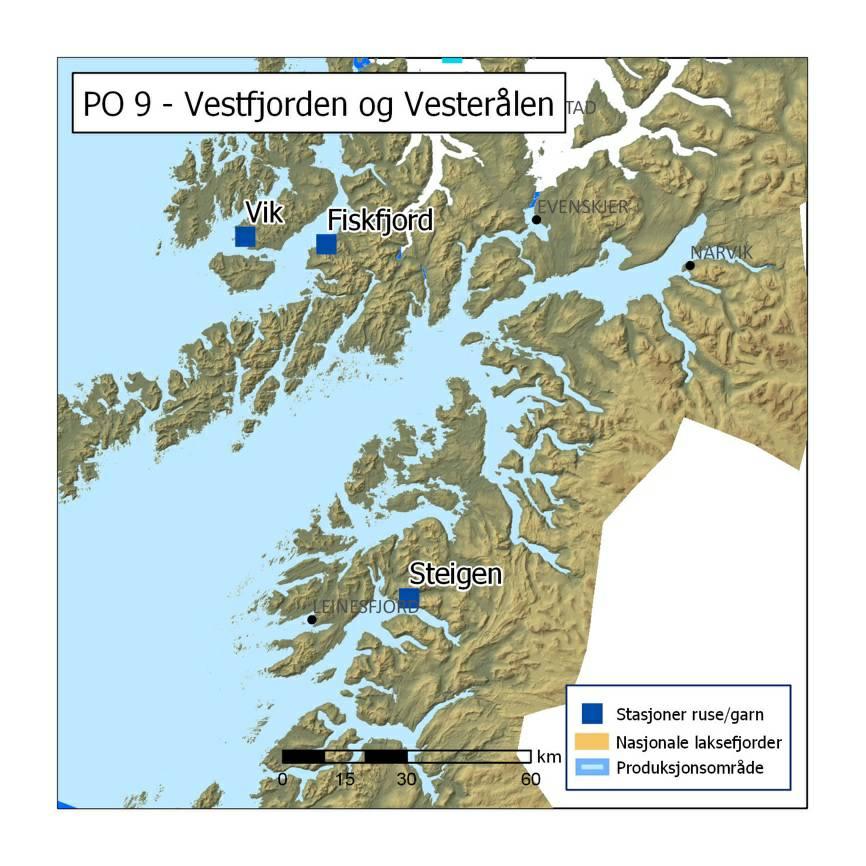 Figur 49. Ruse/garn stasjoner i produksjonsområde 9. 2018 5.9.2 - Ruse og garn Steigen ble valgt som fast stasjon i dette produksjonsområdet og ble undersøkt i to adskilte perioder.