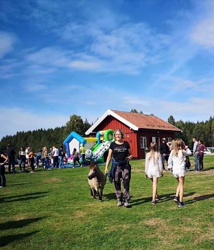 Legekontoret er stengt uke 24,32 og 33 pga ferie. Rømskog kommune vil ha en ledig ungdomsleilighet på Steinbyfeltet klar for innflytting 1. juli 2019.
