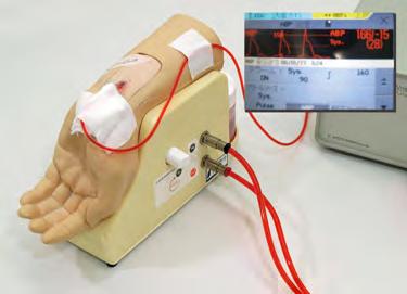Radial arteriell katetere Radial arteriell punksjon Arterie blodprøvetaking Radial kateterplassering Settet inkluderer 1 modell av håndledd og 1 skje underarm 2 plastbeholdere 1